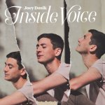 Joey Dosik - Inside Voice CD – Zboží Mobilmania
