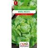 Osivo a semínko Salát hlávkový jarní Král Máje I. Seva Moravia 0,5 g