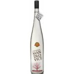 Hustopečská Mandlovka 38% 1,5 l (holá láhev) – Zboží Dáma