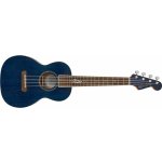 Fender Dhani Harrison – Zboží Dáma