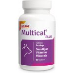 Dolfos Multical Plus vitamíny pro dospělé psy březí a kojící feny 90 tbl – Hledejceny.cz