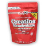 Amix Creatine monohydrate 250 g – Zbozi.Blesk.cz