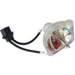 Lampa pro projektor EPSON EMP-W5D, kompatibilní lampa bez modulu – Hledejceny.cz
