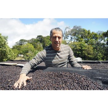 Cascara Panama Los LaJones 250 g