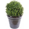 Květina BUXUS KOULE NEW UV RESISTANT luxusní umělý keř, 45cm