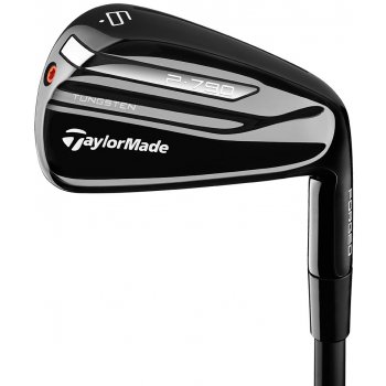 TaylorMade P-790