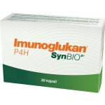 Pleuran Imunoglukan P4H SynBio 30 kapslí – Hledejceny.cz