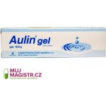 AULIN DRM 30MG/G GEL 100G – Sleviste.cz