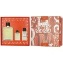 Hermés Terre D'Hermés EDT 100 ml + EDT 12,5 ml + balzám po holení 40 ml dárková sada