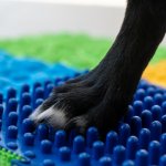 Ortek Masážní ortopedická podložka Puzzle – Zboží Dáma