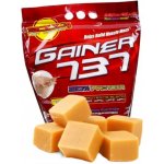 Megabol Gainer 737 3000 g – Zbozi.Blesk.cz