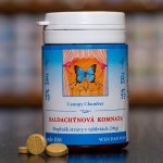 TCM Herbs Baldachýnová komnata 100 tablet – Hledejceny.cz