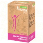 Fytopharma Figuran FIT čaj s maté chaluha 20 x 1,5 g – Hledejceny.cz