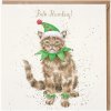 Přání Wrendale Designs Přání Wrendale Designs "Bah Humbug!", 15x15 cm - Vánoční kočka