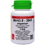 Sinecura MAH3.9 pingweisan 60 tablet – Hledejceny.cz