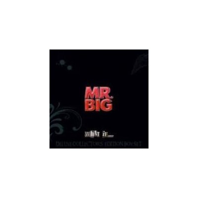 Mr. Big - What If - Boxset – Zbozi.Blesk.cz