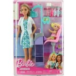 Mattel Barbie Povolání Zubařka hnědovláska DHB63 – Zboží Mobilmania