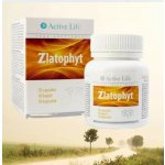 Tiande Active Life Funkční komplex Zlatophyt 30 kapslí – Hledejceny.cz