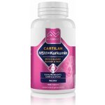 Altervet Cartilan MSM+kurkumin 130 g 100 tbl – HobbyKompas.cz