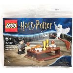 LEGO® Harry Potter™ 30420 Harry Potter™ and Hedwig: Owl Delivery polybag – Hledejceny.cz