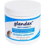 Glandex Soft chews tablety pro psy 30 ks 120 g – Hledejceny.cz