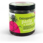Irel Ostropestřecová pasta s medem 250 g – Hledejceny.cz