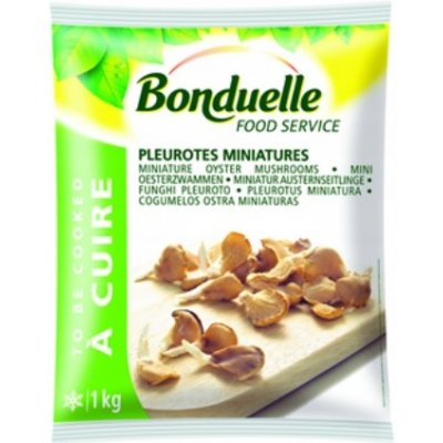 Bonduelle Hlíva mini 1 kg – Zboží Dáma