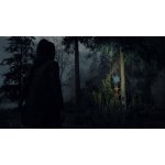 Alan Wake 2 (Deluxe Edition) (XSX) – Hledejceny.cz