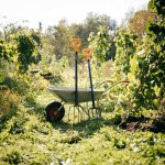 Fiskars 1070673 – Zboží Dáma