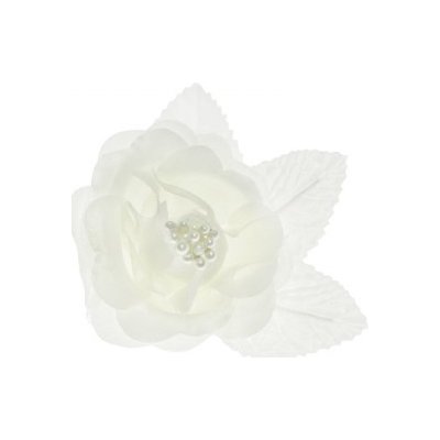 Paris Dekorace Saténové růže ivory (champagne) – Sleviste.cz