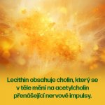Walmark Lecithin Forte 1325 mg 120 tablet – Hledejceny.cz