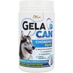 Gelacan Chondro Forte plv 500 g – Hledejceny.cz