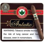 Joya de Nicaragua Antaño 1970 Cigarillos 10 ks – Hledejceny.cz