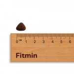 Fitmin Performance Mini 3 kg – Hledejceny.cz