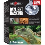 Repti Planet Daylight Basking Spot 75 W – Zboží Dáma