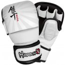 Hayabusa Ikusa MMA