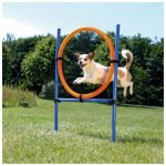 Trixie Agility proskakovací kruh / 78 x 115 cm – Zbozi.Blesk.cz