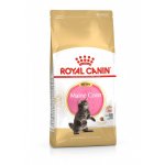 Royal Canin Maine Coon Kitten 4 kg – Hledejceny.cz