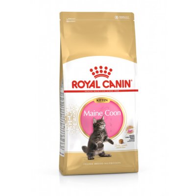 Royal Canin Maine Coon Kitten 4 kg – Hledejceny.cz