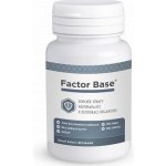 OKG Factor Base 60 ks – Hledejceny.cz