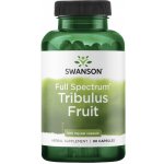 Swanson Full-Spectrum Tribulus Fruit 90 kapslí 500 mg – Hledejceny.cz