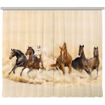Fotozáclona AGdesign průhledná, Koně 280 x 245 cm – Hledejceny.cz