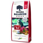 Velxara Balanced FM Dog Adult Monoprotein Beef & Rice 12 kg – Sleviste.cz