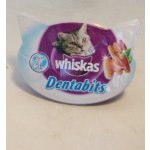 Whiskas Dentabites kuřecí 40 g – Sleviste.cz