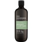 Baylis & Harding Goodness Mens Pánský sprchový gel Bergamot & Šalvěj 500 ml – Sleviste.cz