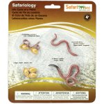 Safari Životní cyklus Žížala – Zbozi.Blesk.cz