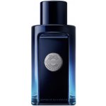 Antonio Banderas The Icon toaletní voda pánská 100 ml – Zboží Dáma