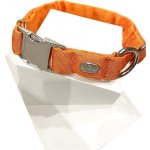 Japan Premium pro aktivní i ostatní psy – Sleviste.cz