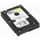 WD Caviar Blue 250GB, 3,5", SATAII, 7200rpm, 8MB, WD2500AAJS