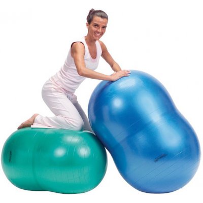 PhysioRoll Plus 55cm – Hledejceny.cz